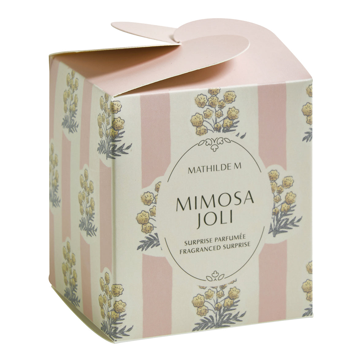 Coffret Surpresa Mimosa Joli