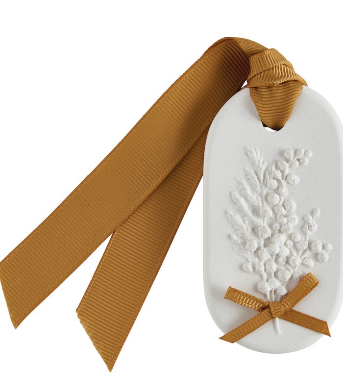 Coffret Surpresa Mimosa Joli